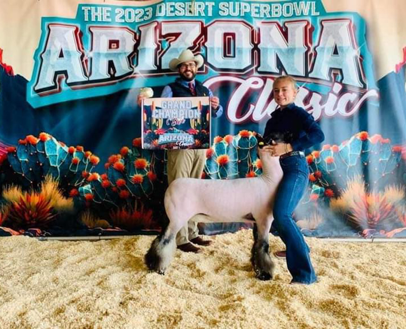 Grand Champion Breeding Ewe 2023 Desert Superbowl Arizona Classic