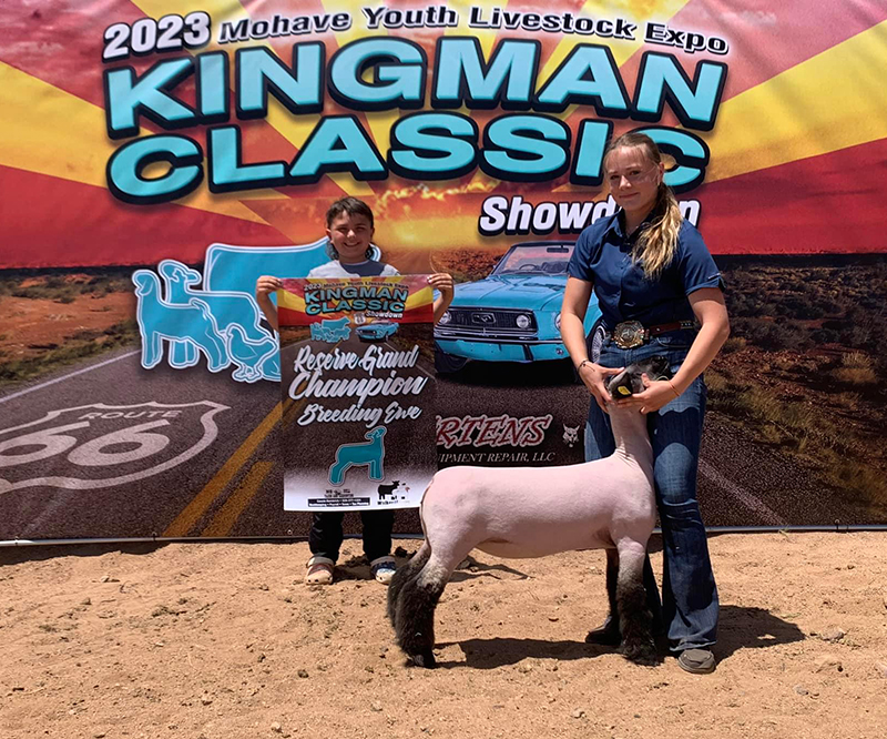 Grand Champion Prospect Reserve Grand Breeding Ewe 2023 Kingman Classic Showdown, AZ