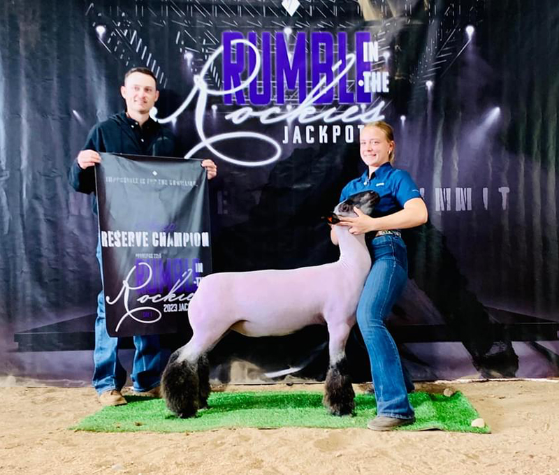 Reserve Champion Market Lamb 2023 Rumble in the Rockies