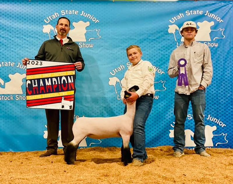 Supreme Champion Breeding Ewe 2023 Utah State Junior Livestock Show